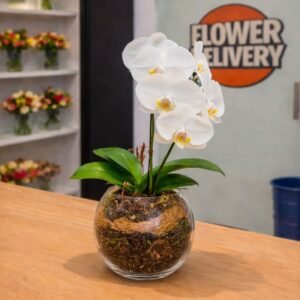 Orchid in Glass Vase